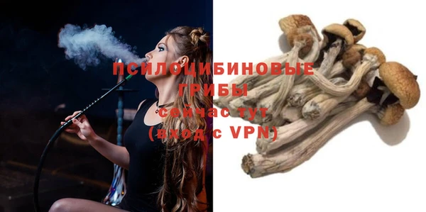 PSILOCYBIN Гусиноозёрск