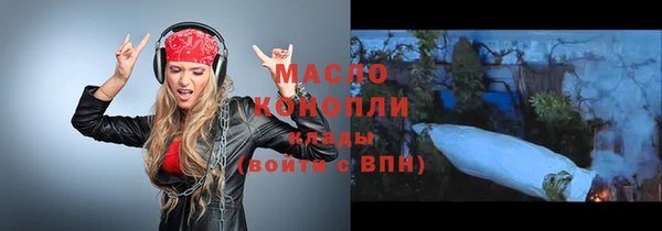 гашик Дмитровск