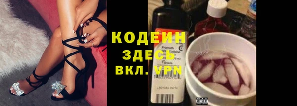спайс Гусев