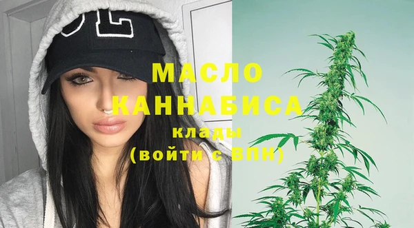 гашик Дмитровск