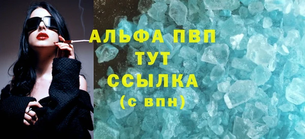 спайс Гусев