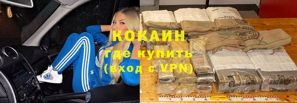 PSILOCYBIN Гусиноозёрск